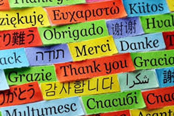 Gratidão E Gentileza São Além De Belas Palavras, Devem Ser Nossas Ações.