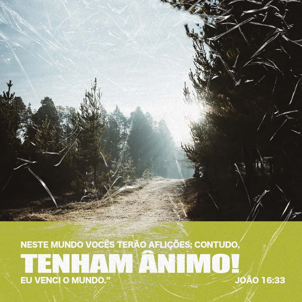 Tudo Tem O Seu Tempo Determinado, E Há Tempo Para Todo Propósito Debaixo Do Céu