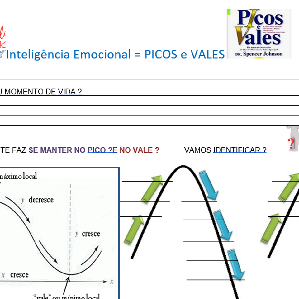 Ferramenta Inteligência Emocional – Picos E Vales